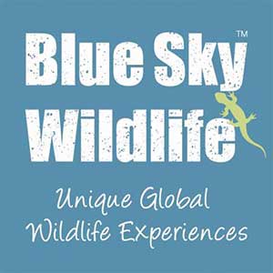 blue sky wildlife tours
