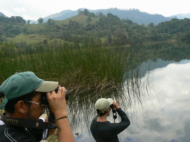 Birding in Laguna de Pedro Palo