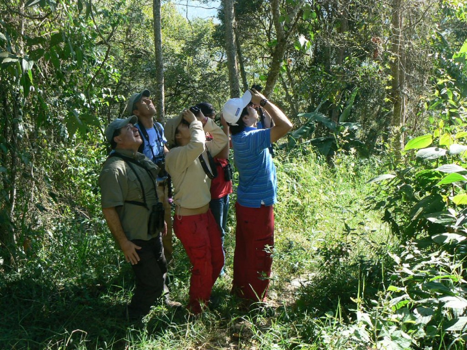 Birdwatching Colombia in Quinini