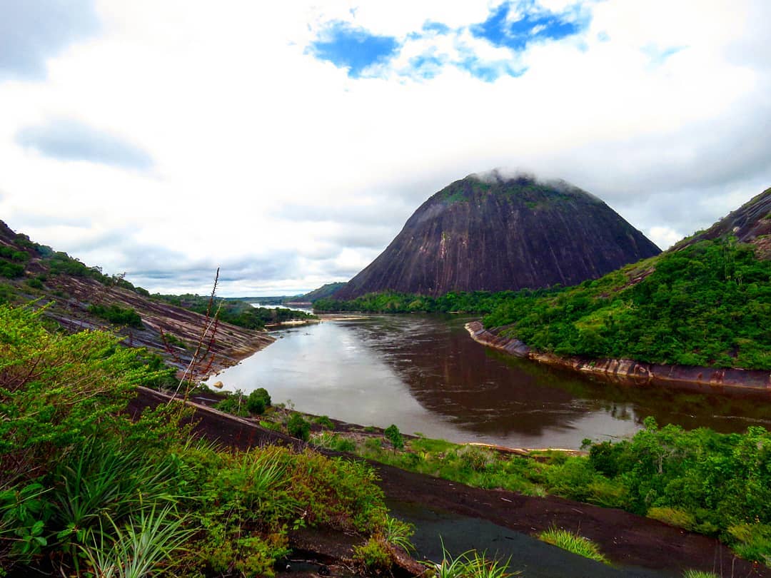 Colombia Birding Tours – Birding Colombia – Nature – Colombia Wildlife ...